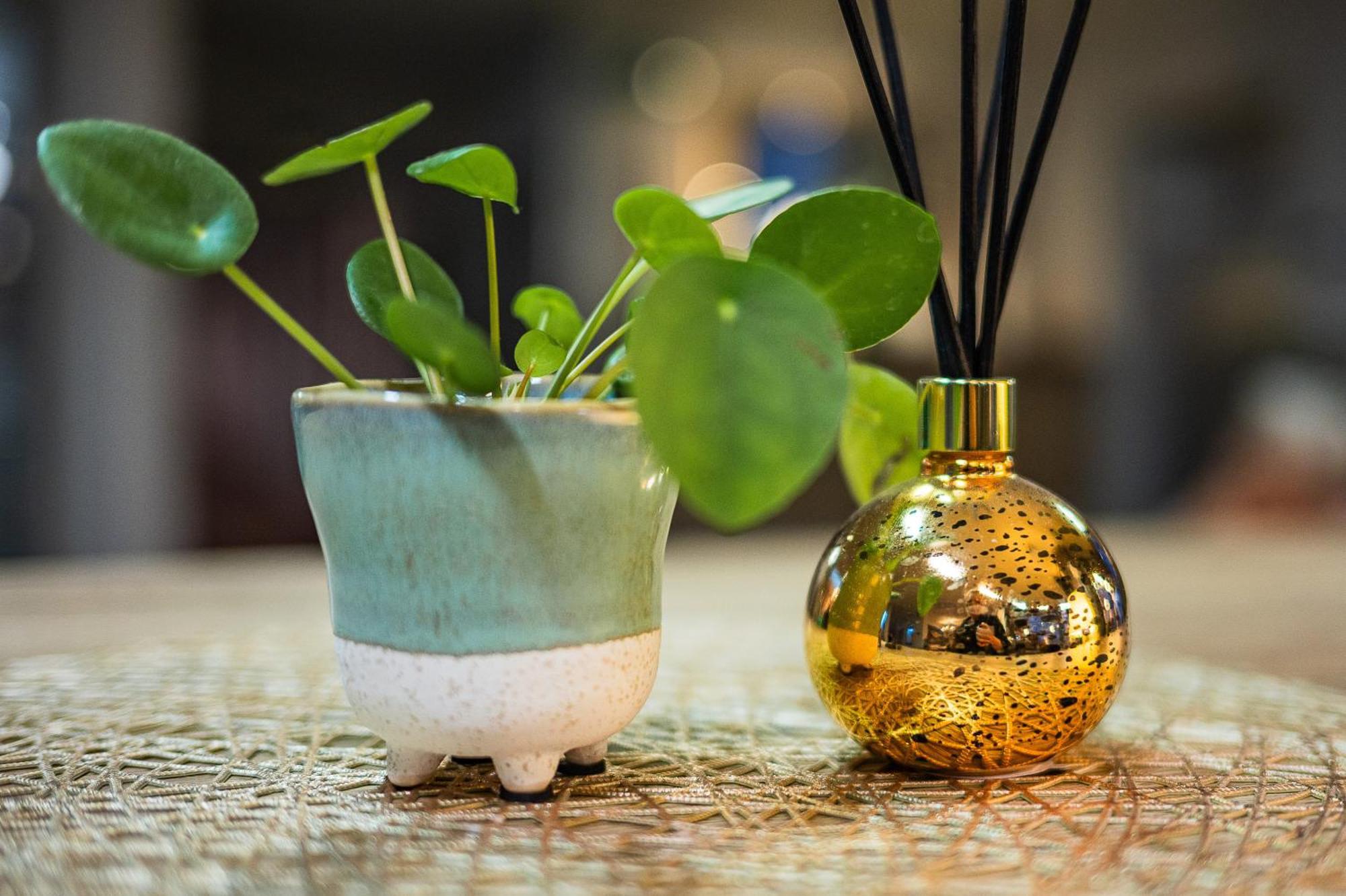 维也纳机场生活酒店 菲施蒙德多夫 外观 照片
